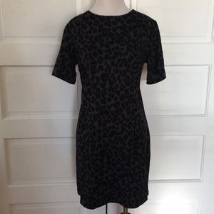 Old Navy Gray Leopard Shift Dress Size Small